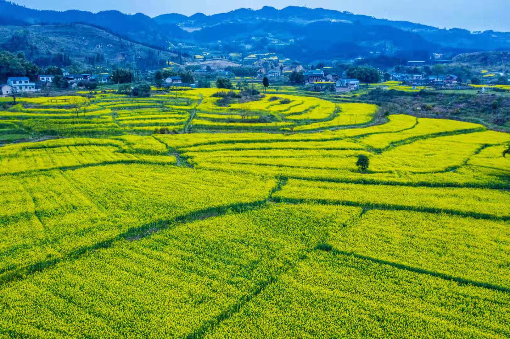 威远现代粮油示范园区