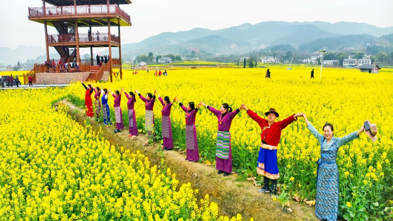 游客正在新场粮油园区油菜花中游玩