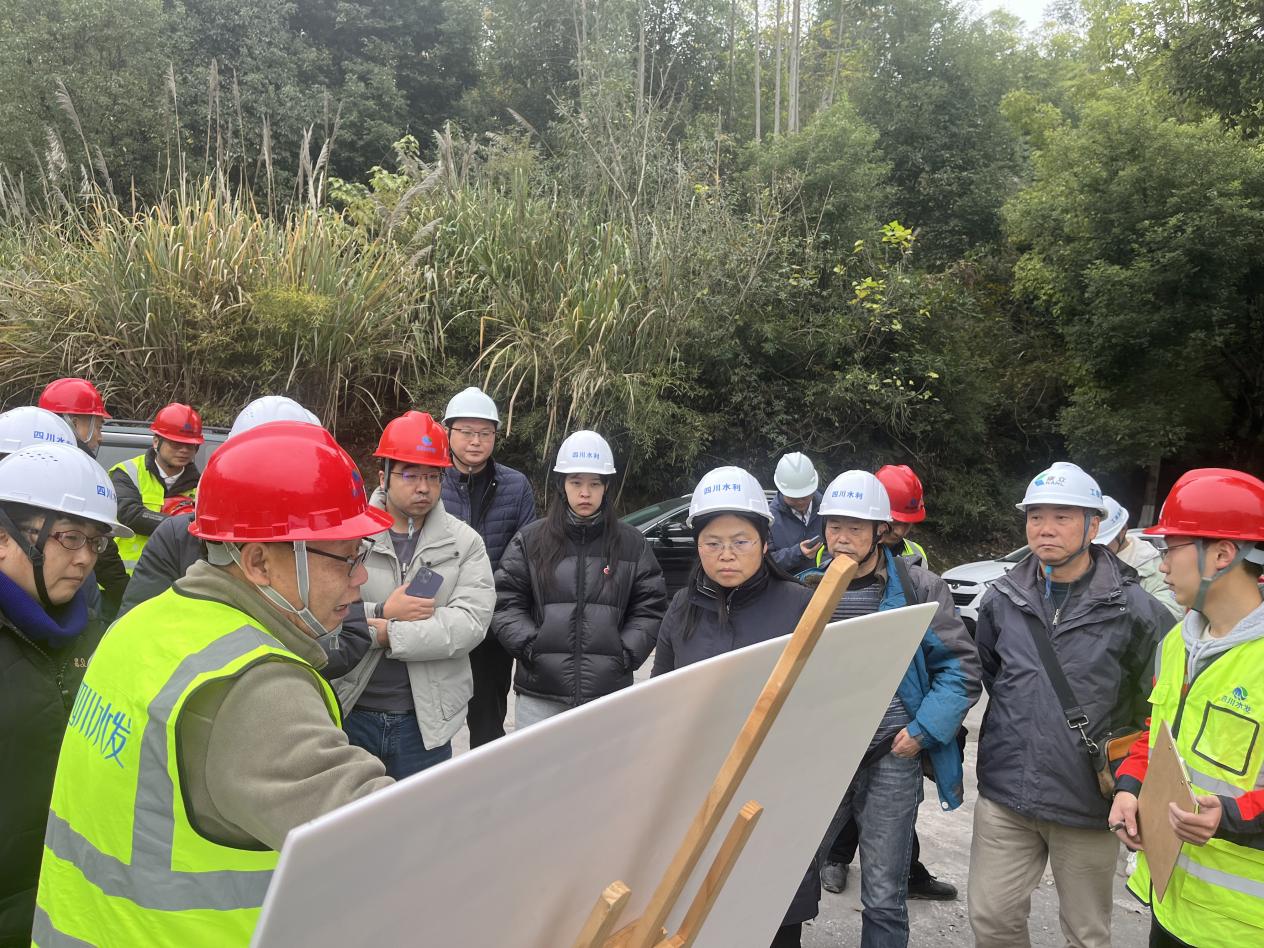 省水利厅安全生产委员会专家组对长葫灌区威远片续建配套工程项目进行安全专项检查