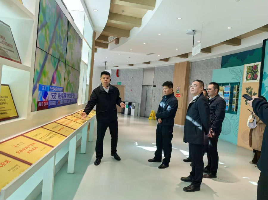 农业农村部农村经济研究中心莅威调研乡村文化振兴典型经验