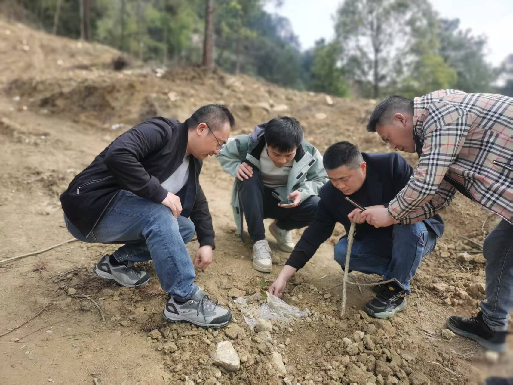 “苗”绘新蓝图，助力种植再升级