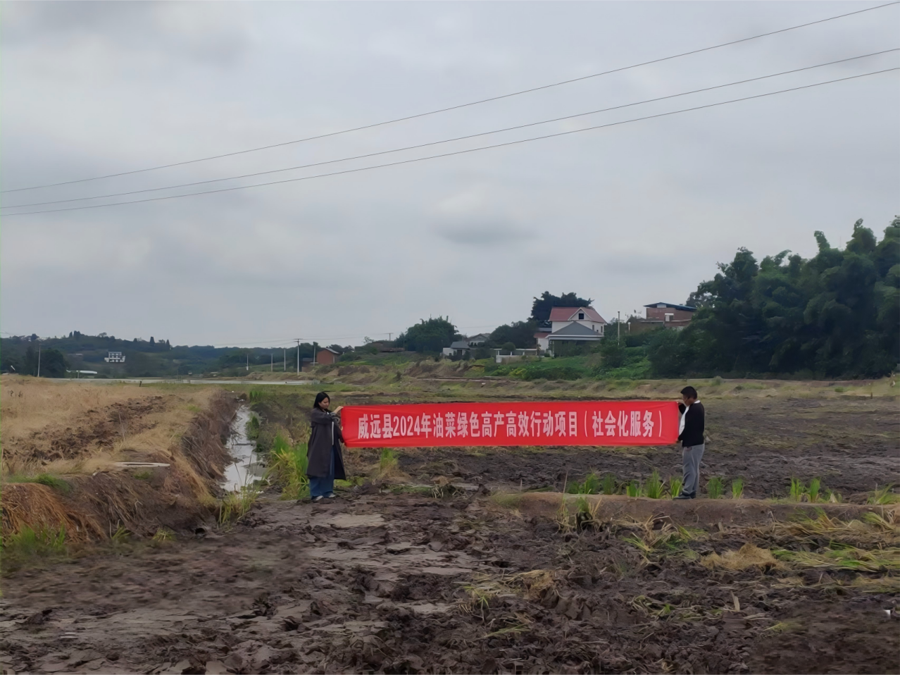 万象“耕”新好风景，农业服务新渠道